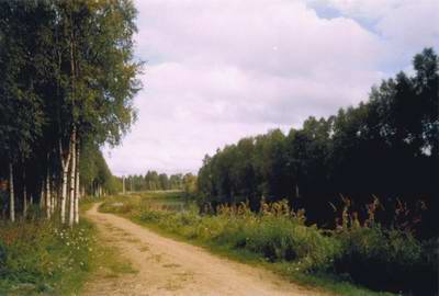 Ivalo